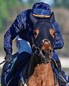 Prospect is ready to hit the heights62