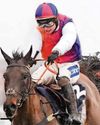WELSH WONDER CAN SHOW HIS TRUE COULEURS WELSH WONDER CAN SHOW HIS TRUE COULEURS80