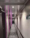 Dream voyage is a nightmare for passengers14