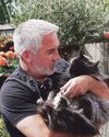 96mph to save sick cat22