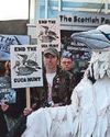 Plea for isle guga hunt to go ahead Plea for isle guga hunt to go ahead5