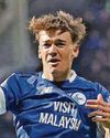 Bluebirds confirm relegation clauses 'for some' Bluebirds confirm relegation clauses 'for some'