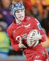 Rogers returns for Scarlets' big clash against Dragons Rogers returns for Scarlets' big clash against Dragons