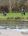 Still no green flags for parks in savings move Still no green flags for parks in savings move