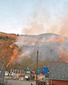 Majority of wildfires set deliberately, says service Majority of wildfires set deliberately, says service
