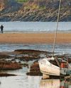 Calls for wildlife to be protected at old harbour Calls for wildlife to be protected at old harbour
