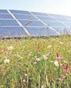 Craig Y Perthi solar farm plan aims to boost biodiversity on the Gwent Levels18