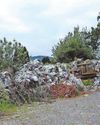 1,800 tonnes of waste illegally dumped by one man and his firms South Wales Echo