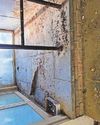 Collapsed ceilings and pigeon mess: Inside Wales' main hospital6