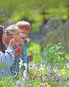 Church bluebells ring out to answer call of nature Church bluebells ring out to answer call of nature1