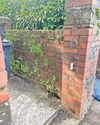 Thieves strike at city family’s garden four times in five months Thieves strike at city family’s garden four times in five months7