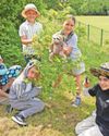 Pupils get back to nature to celebrate Sir David5