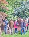 Expert full of praise for park's unique collection of trees11