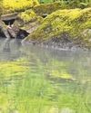 Sewage leak in river could take months to repair - Welsh Water11