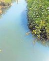 Calls for urgent action over major river sewage spill0