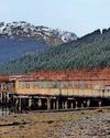Development plan for ex-test explosives site1