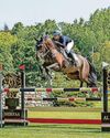Gelding triumphs on its Hickstead debut28