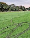 Football field vandal attack condemned3