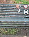 Sick vandals torch memorial bench15