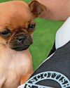 Animal charity responds to almost 3000 callouts1
