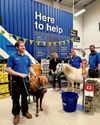 Hoofgang get welcome boost in battle for calm2