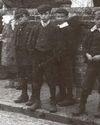 Black Country Bugle