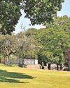 Park to host celebration of VE Day anniversary9