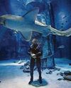 Snakes, sharks, sneaky hippos... wildlife is my safe space24