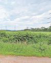 Public to have say over plans for substation5