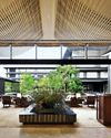 Robb Report Singapore