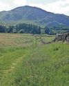 Objectors locked in a 'David and Goliath' struggle to halt wind farm Objectors locked in a 'David and Goliath' struggle to halt wind farm2