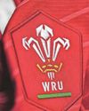 What next for Scarlets as WRU could cut a region or two?2