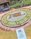 Carpets of flowers to mark 80 year anniversary Carpets of flowers to mark 80 year anniversary4
