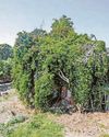 Owners 'left in limbo' 12 months after buying this house for £188k Owners 'left in limbo' 12 months after buying this house for £188k0