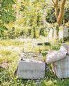 Disgust over furniture dumped on church graves9