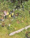 'Heartbreak' as loved ones' graves smashed22