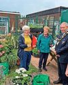 Ten years of allotments is marked by a tree planting5