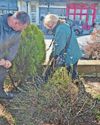 Gardening groups rehome flowers and shrubs from Pier Gardens Gardening groups rehome flowers and shrubs from Pier Gardens