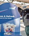 Travel more 'pawsitive' for dogs at train stations Travel more 'pawsitive' for dogs at train stations