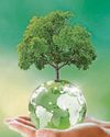 THE FUTURE IS GREEN THE FUTURE IS GREEN