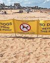 Warning over resort beach dog-walking restrictions Warning over resort beach dog-walking restrictions