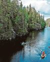 NATURAL FINNISH NATURAL FINNISH