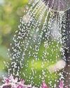 Yorkshire Water urges people to 'use water wisely' Yorkshire Water urges people to 'use water wisely'