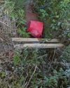 Headless dog found in ditch 'thought to have been deliberately decapitated' Headless dog found in ditch 'thought to have been deliberately decapitated'