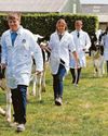 Livestock and equine skills on proud display at flagship show Livestock and equine skills on proud display at flagship show