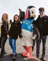 Wildlife spot set to welcome back popular Puffin Festival Wildlife spot set to welcome back popular Puffin Festival