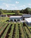 Free open day at Yorkshire vineyard less than 90 minutes away from Hull6