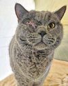 Help Jagger back to full health7