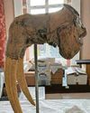 Treasures beginning to return to the city's Maritime Museum1