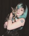 Purr-fect place to unwind with feline friends7